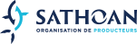logo sathoan fishwind